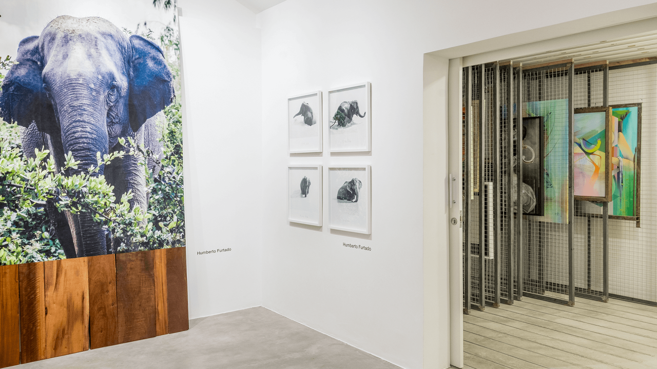 hus-arquitetura-doxx-1280x720